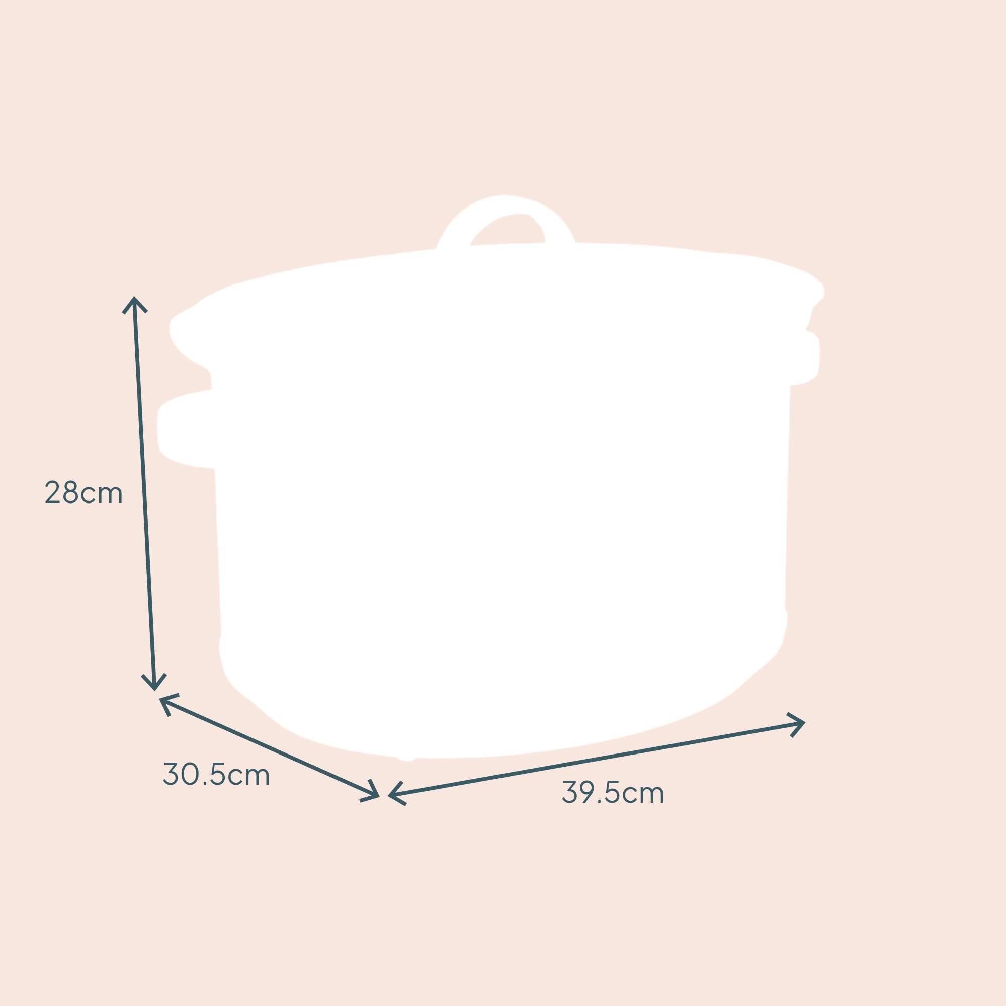 8L Slow Cooker | Black / Rose Gold