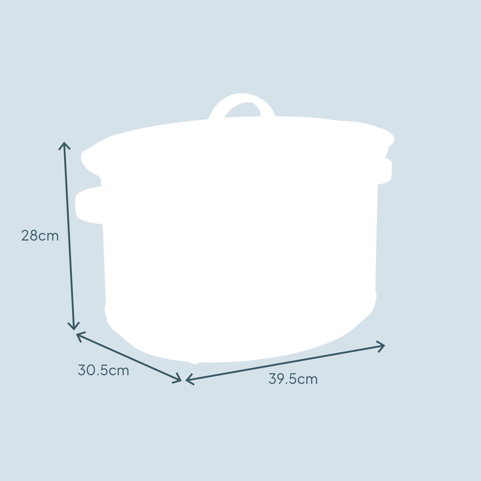 8L Slow Cooker